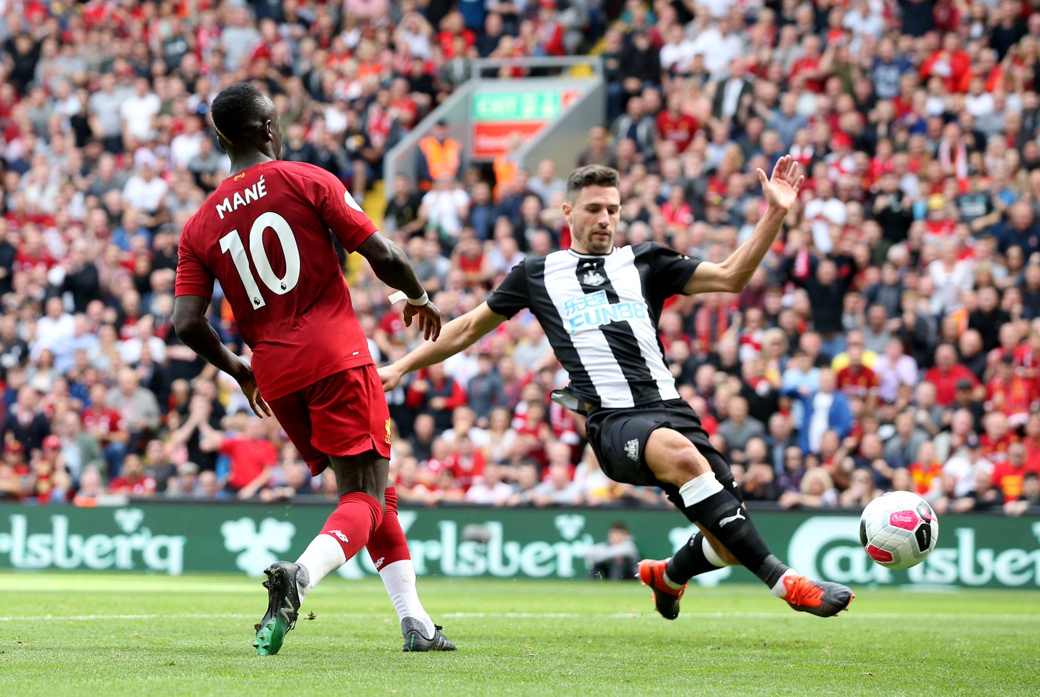 如果你从未 如果你从未